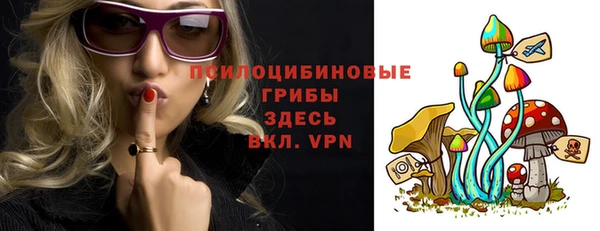 PSILOCYBIN Абдулино