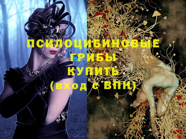 твердый Абаза