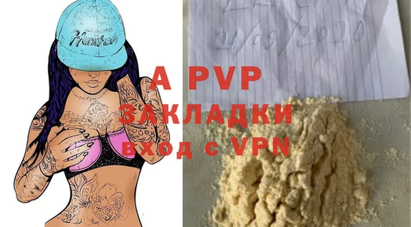 твердый Абаза