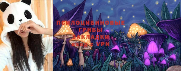 твердый Абаза