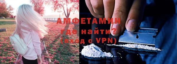 твердый Абаза