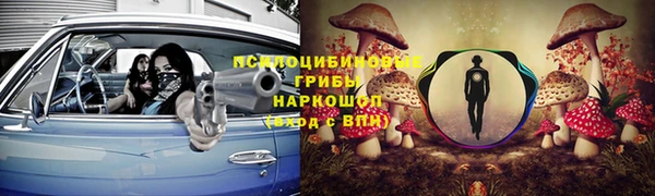 ГАЛЛЮЦИНОГЕННЫЕ ГРИБЫ Алексеевка