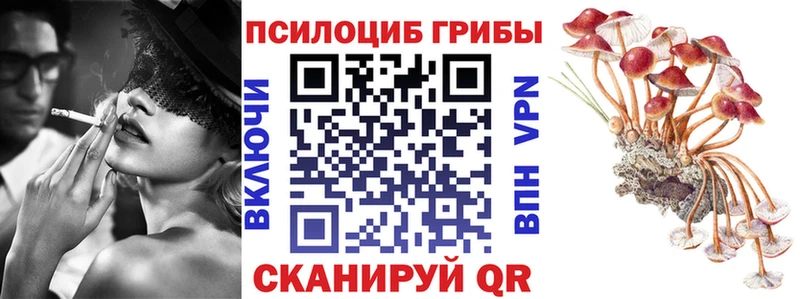 Галлюциногенные грибы Psilocybine cubensis  купить наркотик  Эртиль 